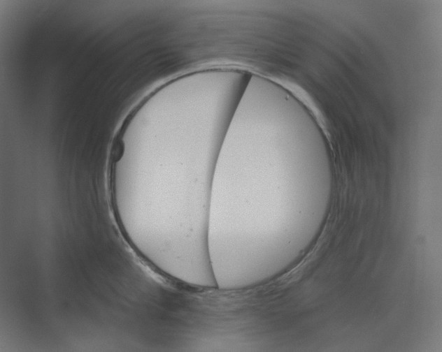 X0000073850910200609071604