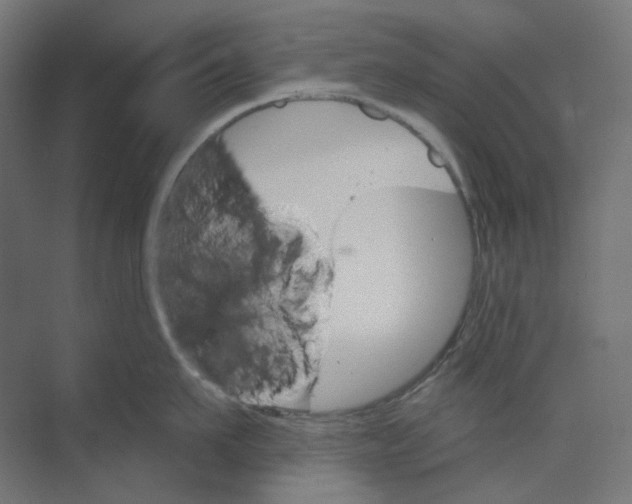 X0000073850911200609071604