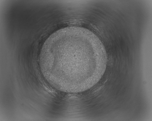 X0000073850913200609071603