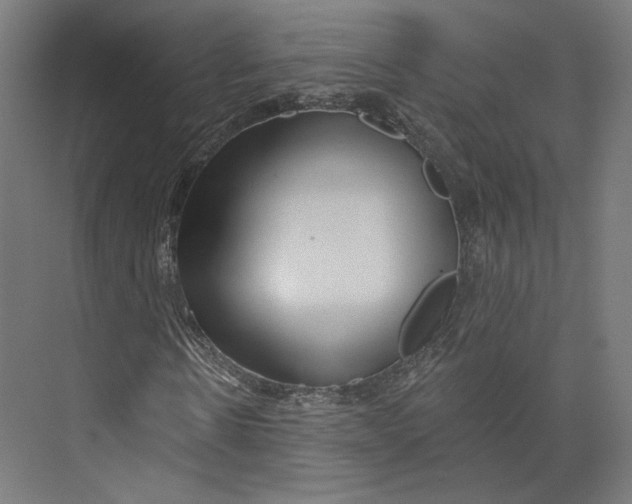 X0000073850914200609071603