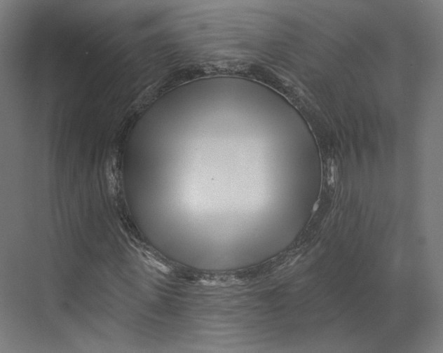 X0000073850915200609071603