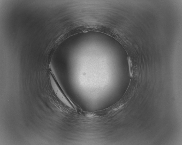 X0000073850916200609071603