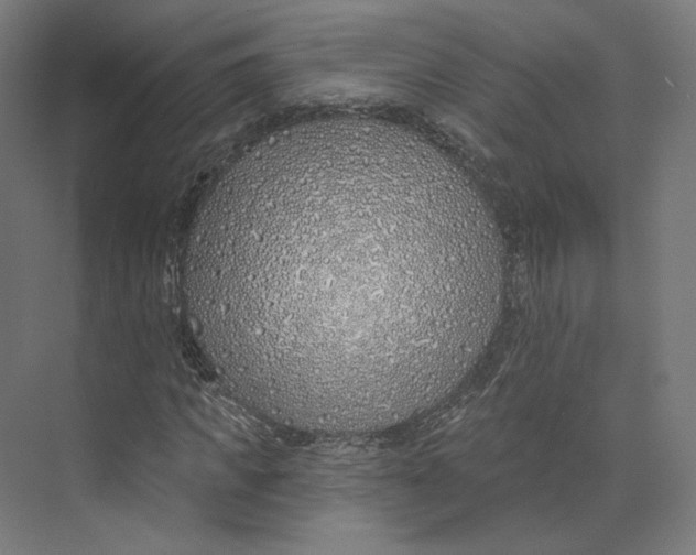 X0000073850917200609071603