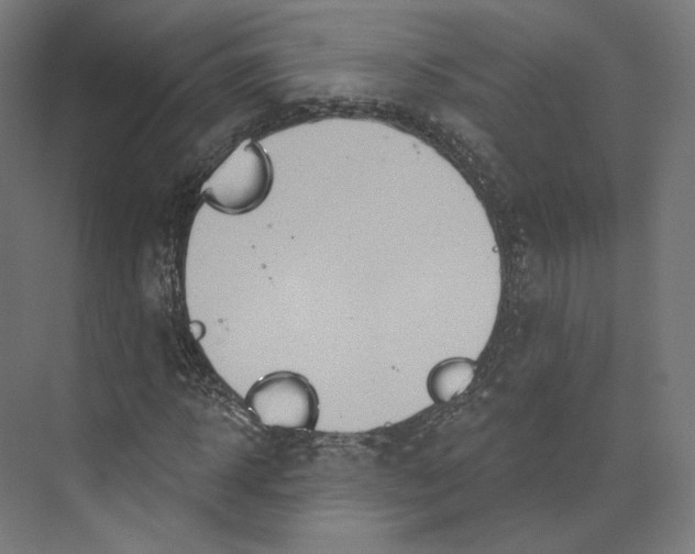 X0000073850918200609071603