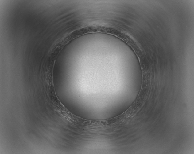 X0000073850919200609071603