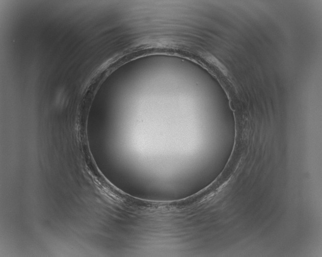 X0000073850922200609071603