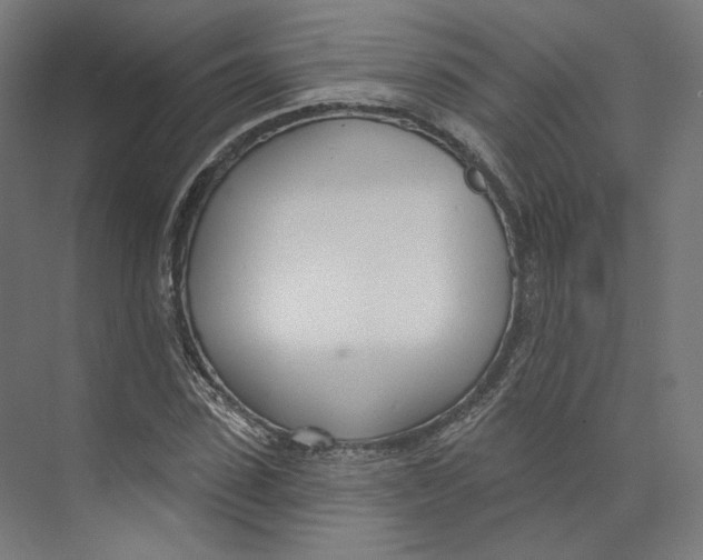 X0000073850923200609071603