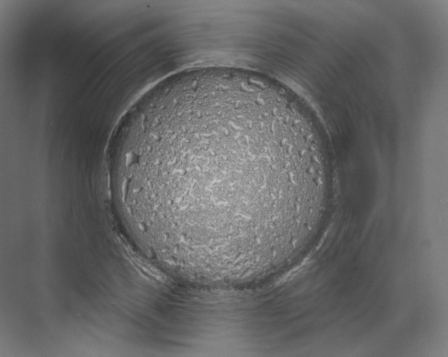 X0000073850925200609071603