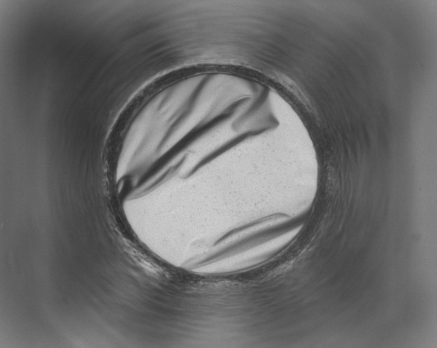 X0000073850926200609071603