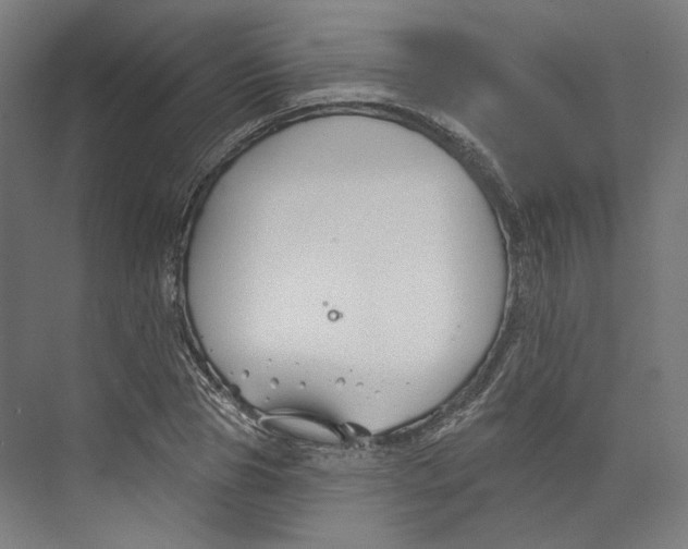 X0000073850929200609071603