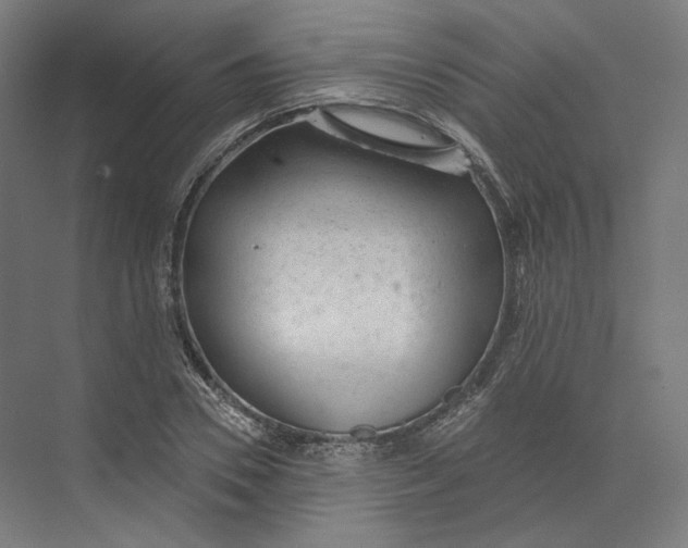 X0000073850930200609071603