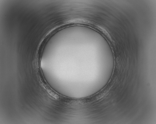 X0000073850931200609071603