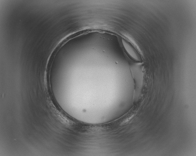 X0000073850932200609071603