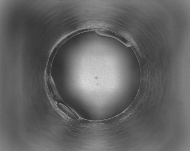 X0000073850936200609071603