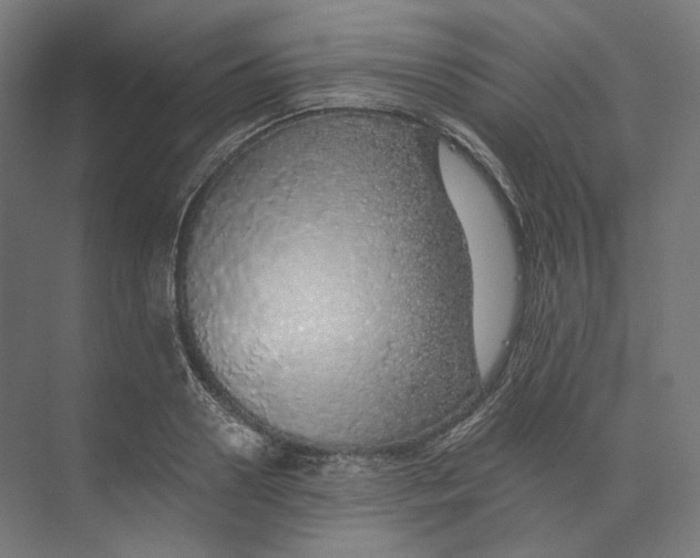 X0000073850938200609071603