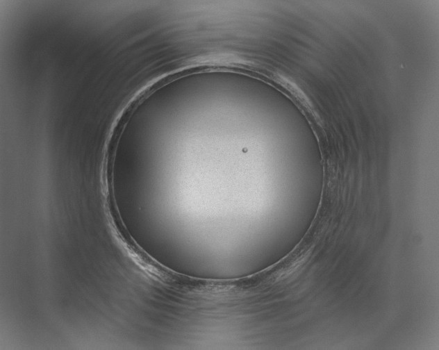 X0000073850939200609071603