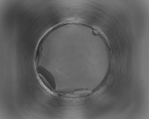 X0000073850941200609071603