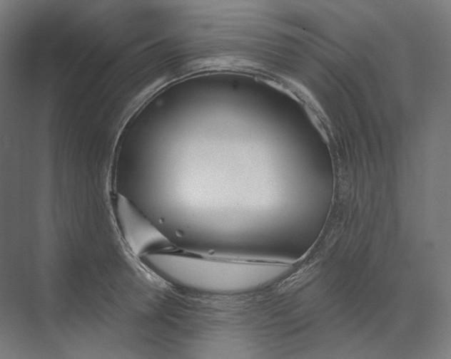 X0000073850946200609071603