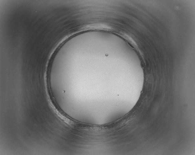 X0000073850947200609071603