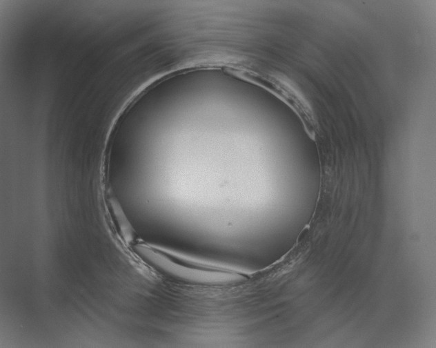 X0000073850948200609071603