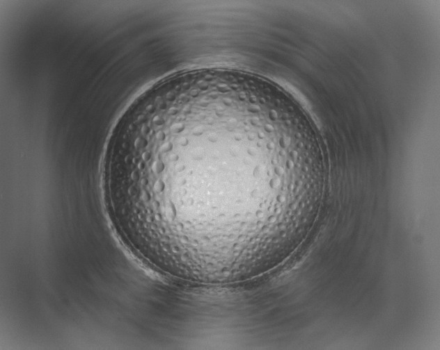 X0000073850949200609071603