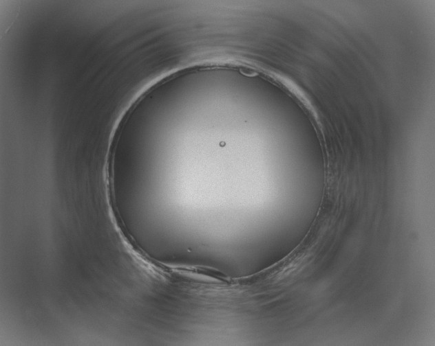 X0000073850951200609071603