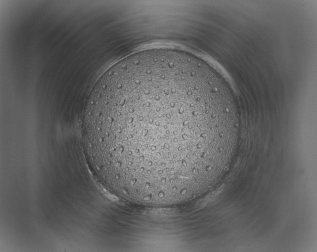 X0000073850953200609071603