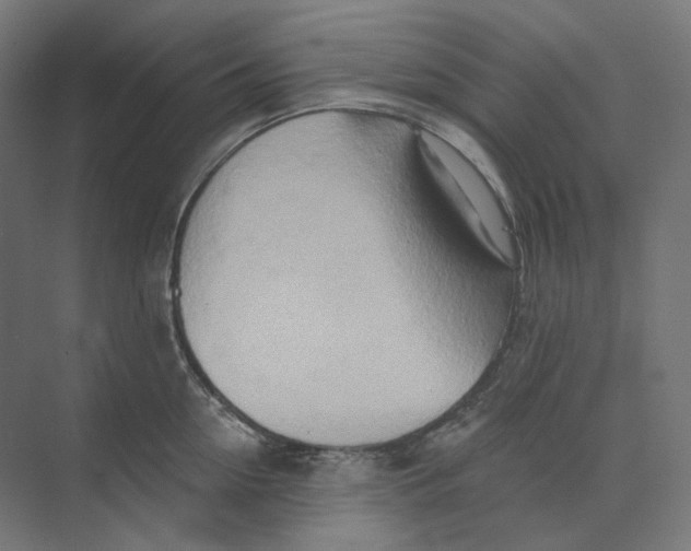 X0000073850954200609071603