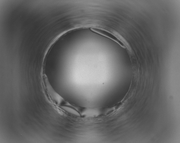 X0000073850956200609071604