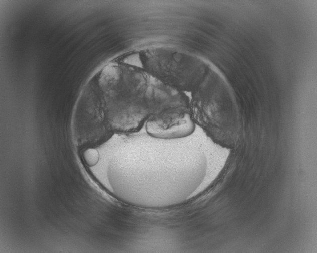 X0000073850957200609071604