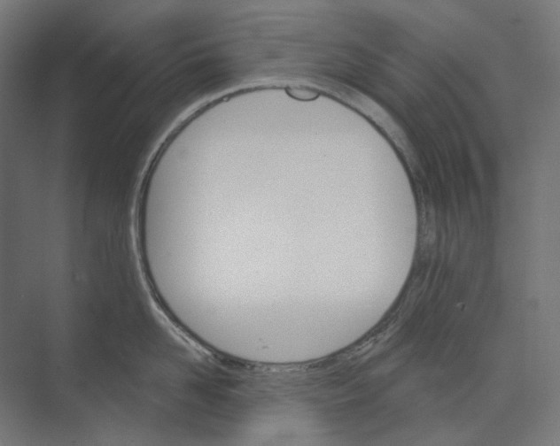 X0000073850958200609071604