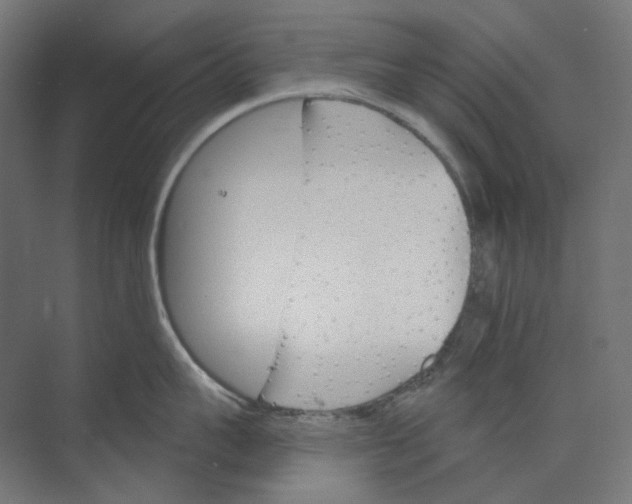 X0000073850959200609071604