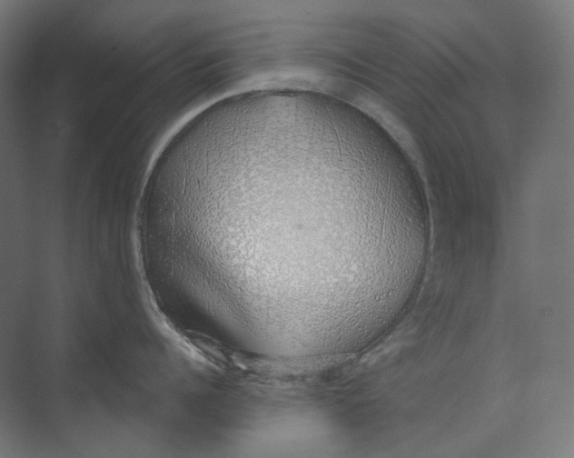 X0000073850960200609071604