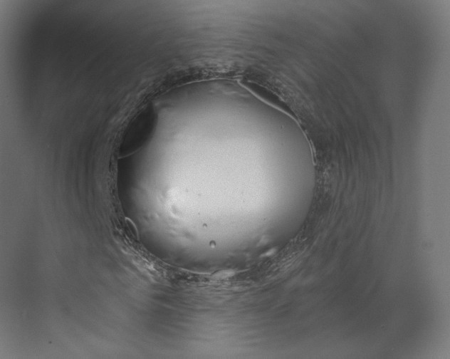 X0000073850961200609071603