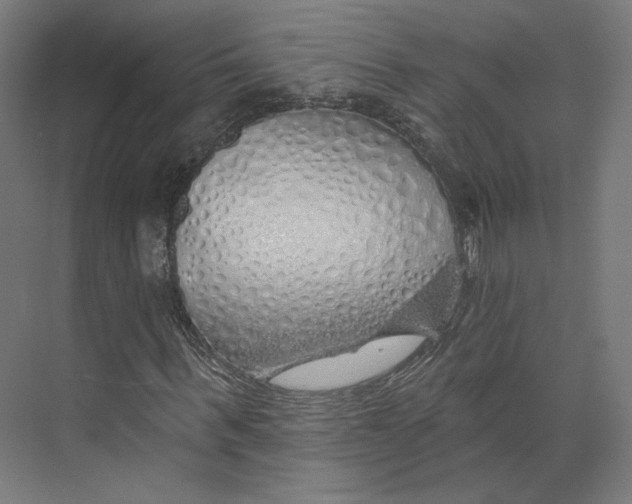 X0000073850963200609071603