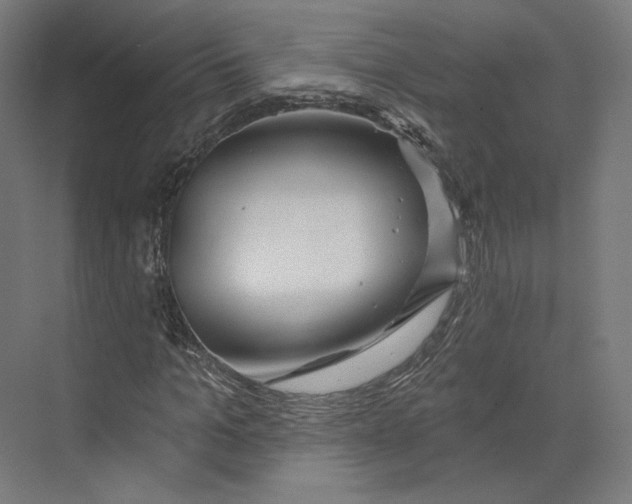 X0000073850965200609071603