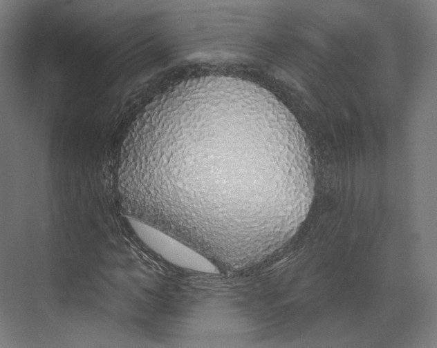 X0000073850966200609071603