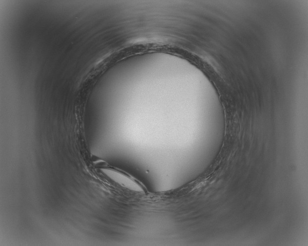 X0000073850967200609071603