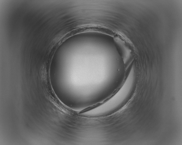 X0000073850969200609071603