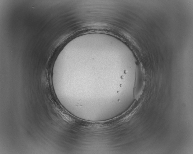 X0000073850970200609071603