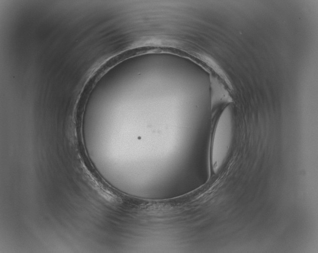 X0000073850972200609071603