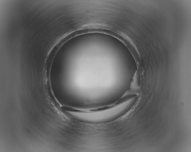 X0000073850973200609071603