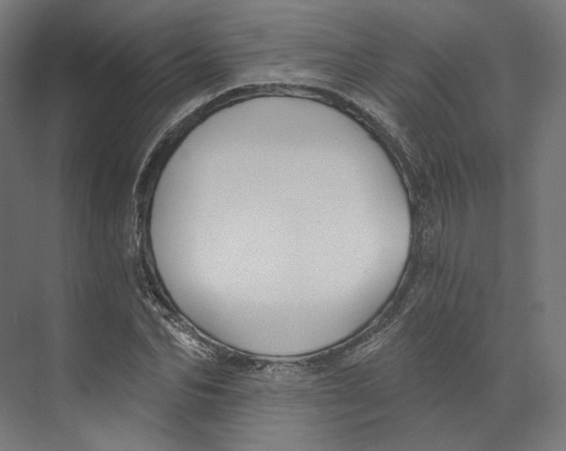 X0000073850974200609071603