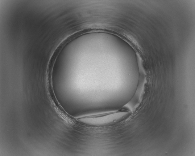 X0000073850976200609071602