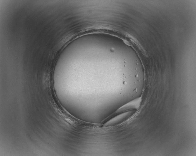 X0000073850977200609071602