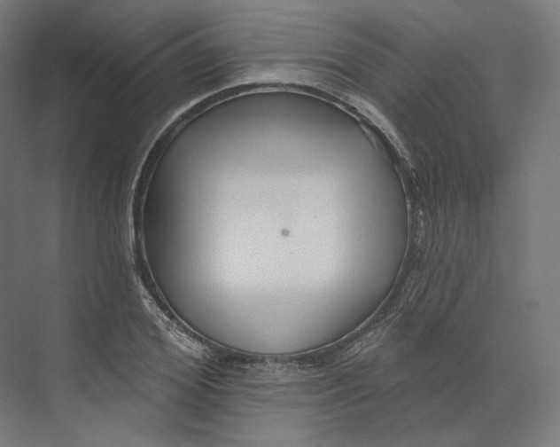 X0000073850980200609071602