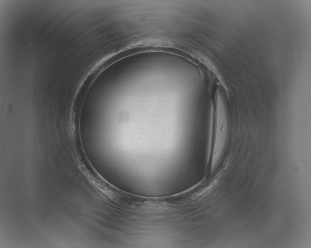 X0000073850981200609071602