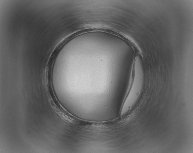 X0000073850983200609071602