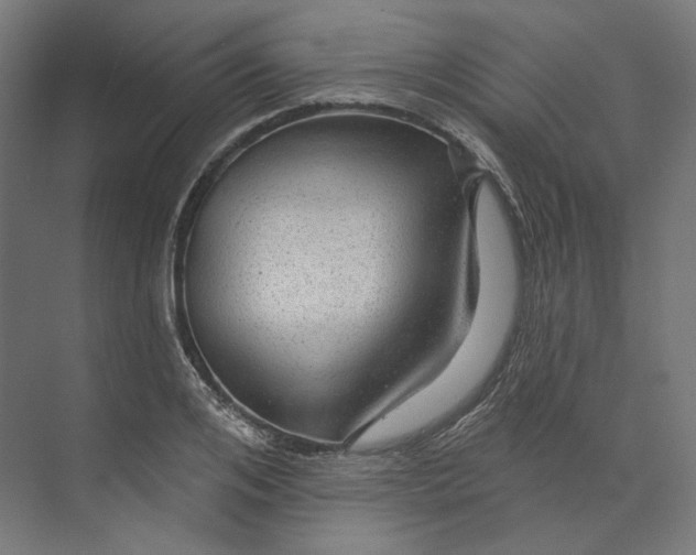 X0000073850984200609071602