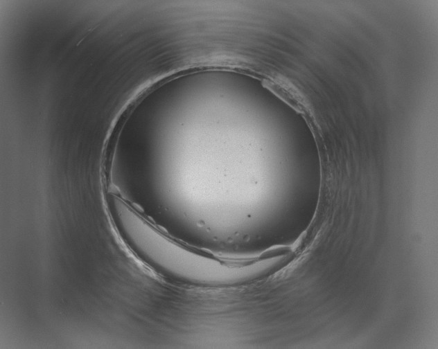 X0000073850989200609071602